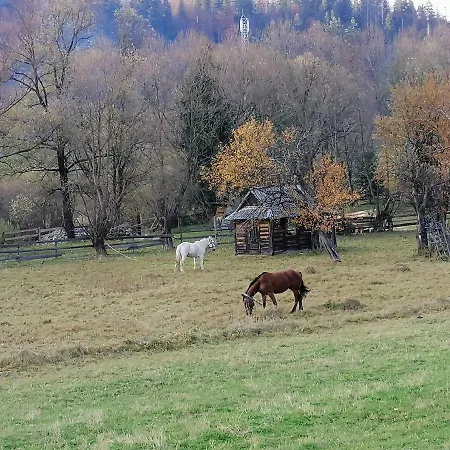 Шум Прутця Villa